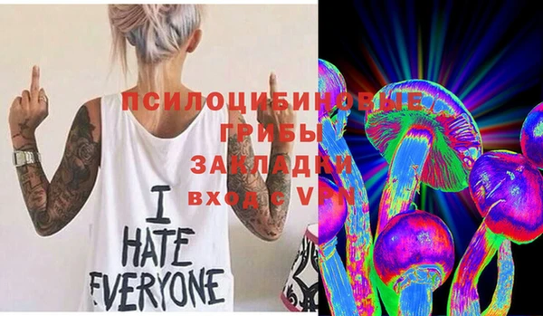 спиды Абаза