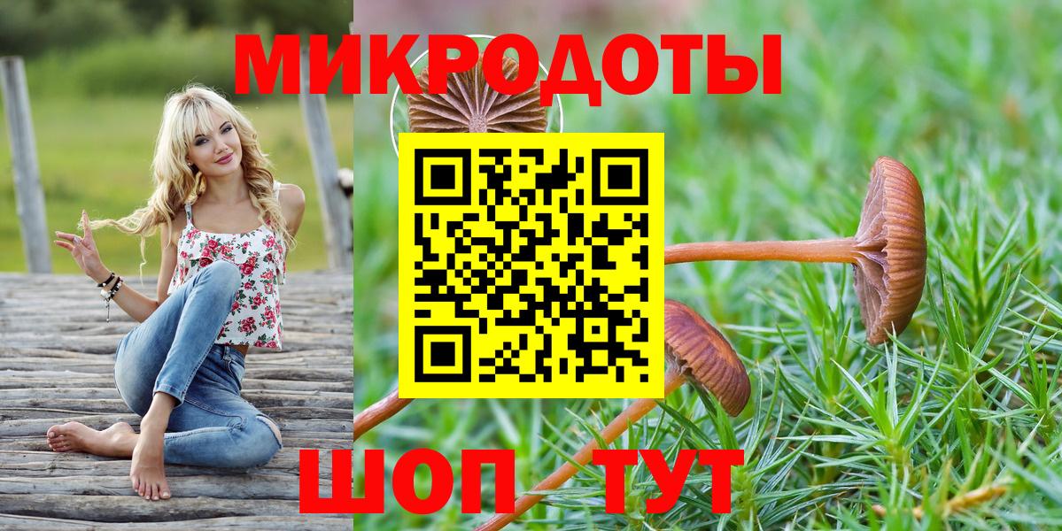 Галлюциногенные грибы Psilocybe Абинск